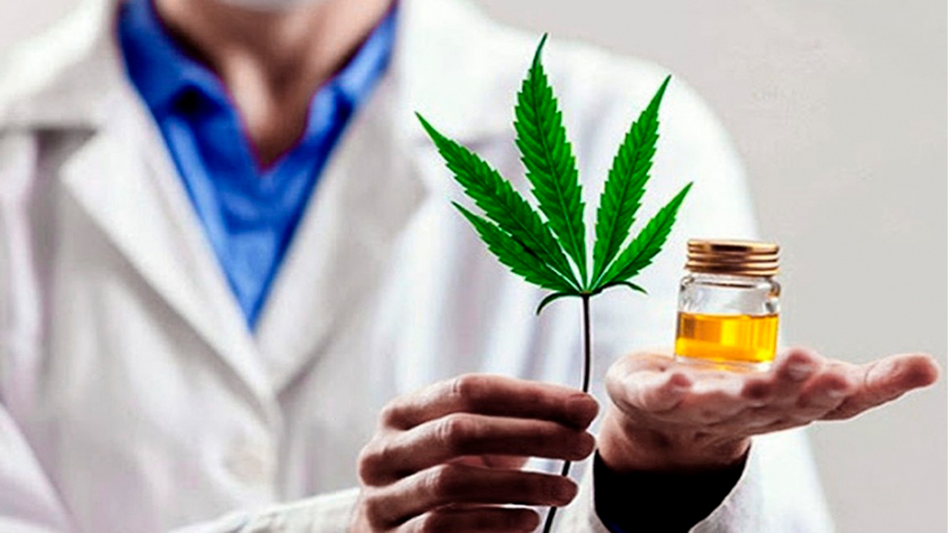 Cannabis medicinal en Argentina: todo lo que tenés que saber