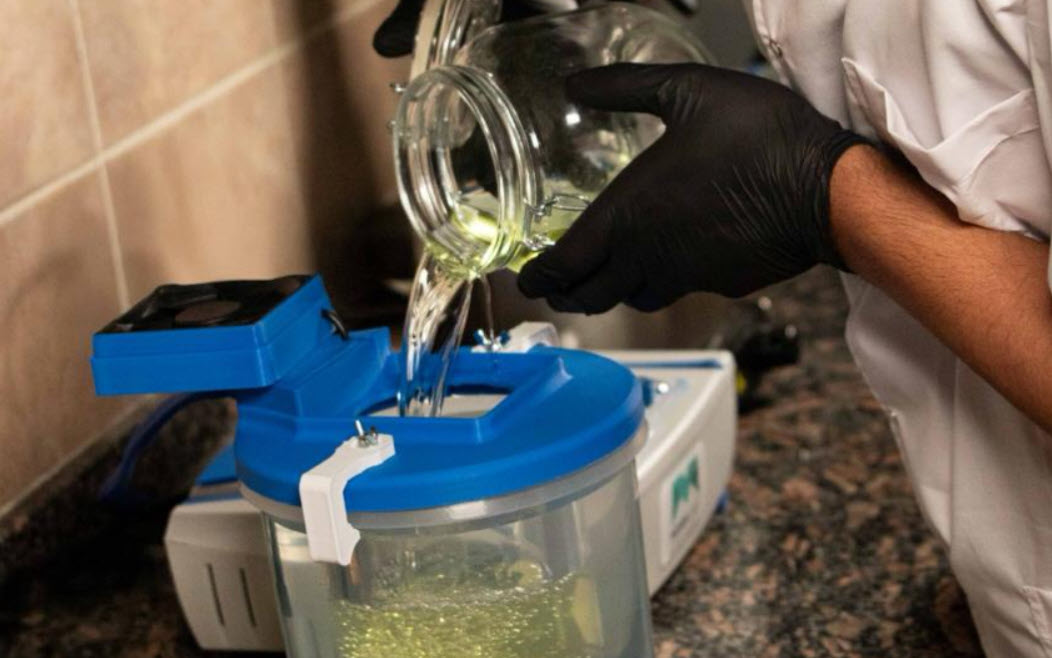 Proceso de fabricación de aceite de cannabis